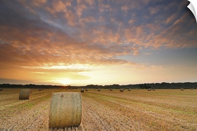 Hay bale field pictured during summer's sunrise, near Christchurch, Dorset, UK.