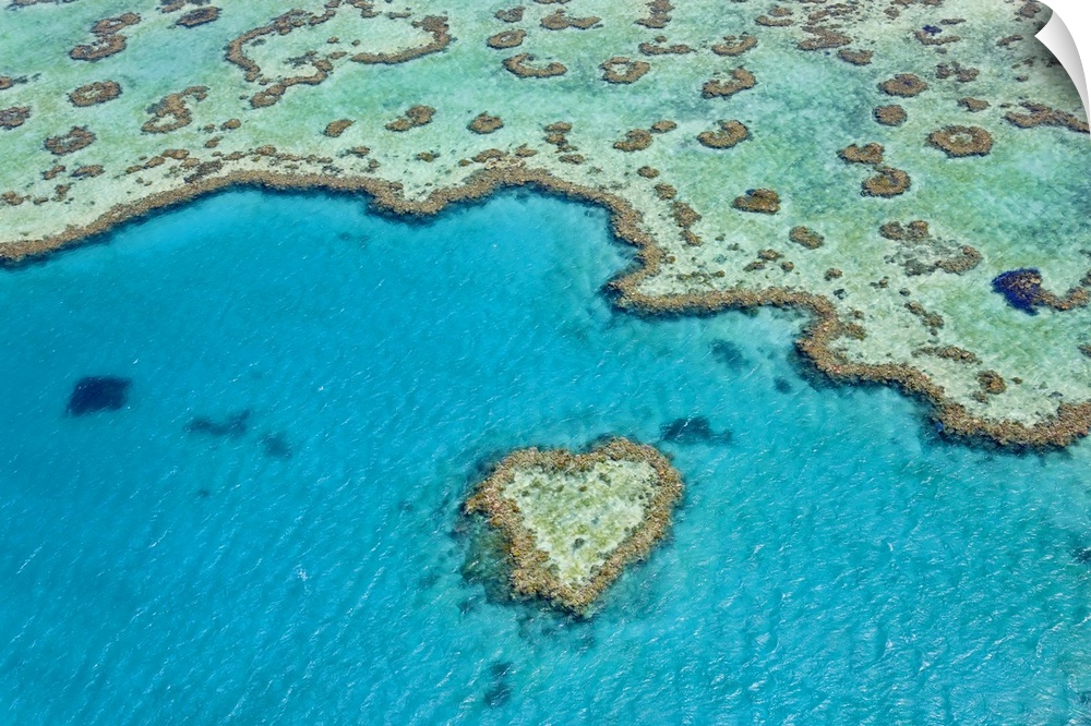 Aerial view of Heart Reef, part of the Great Barrier Reef, Queensland, Australia