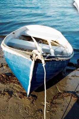 High angle view of a rowboat parked on the shore, San Diego, California, USA