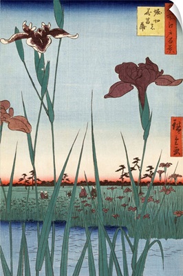Horikiri Iris Garden By Utagawa Hiroshige
