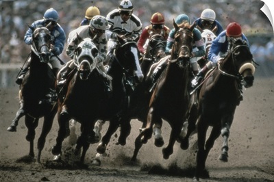 Horse race in California