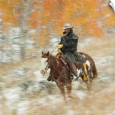 Horseback Rider In Rain