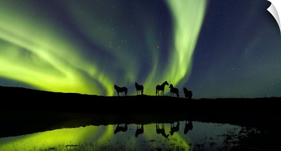 Horses Under The Aurora Borealis