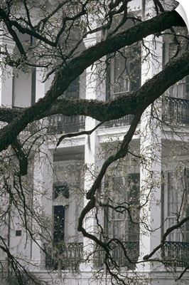 Houmas House, New Orleans, Louisiana