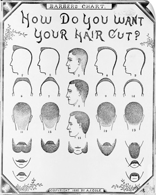 How Do You Want Your Hair Cut? By A. J. Cole