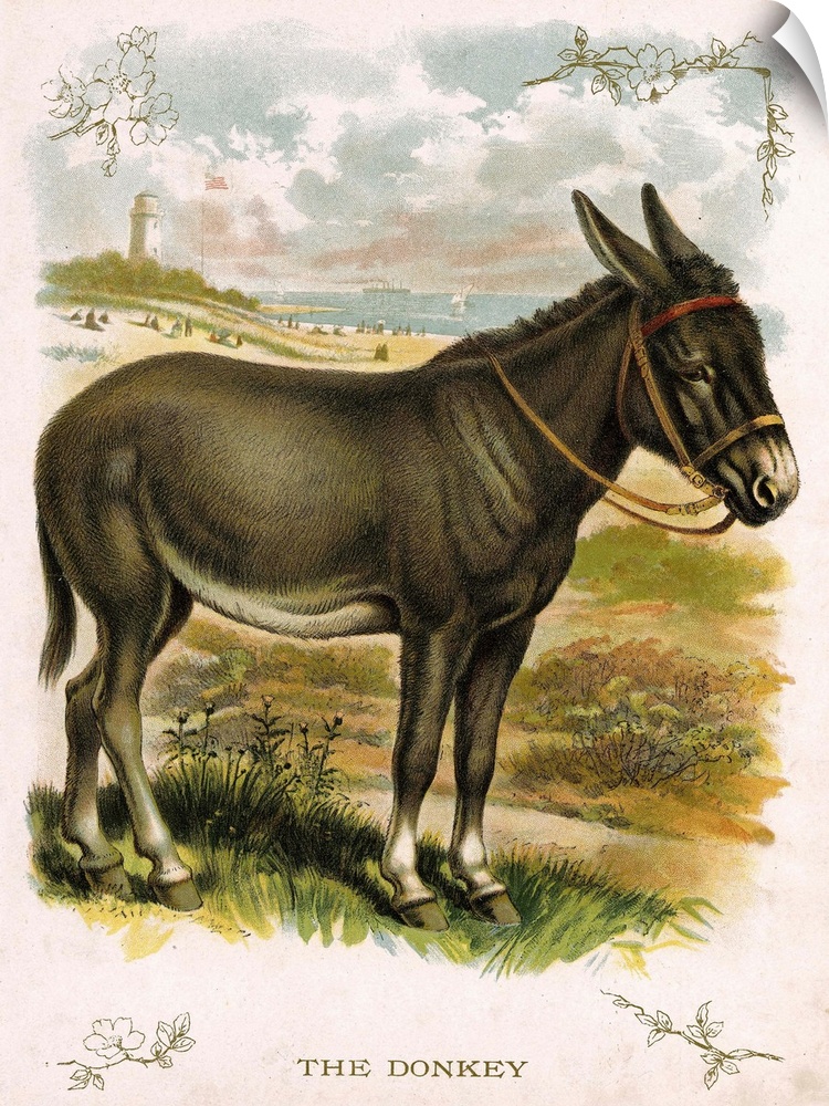 Lithograph of a donkey, circa 1920.