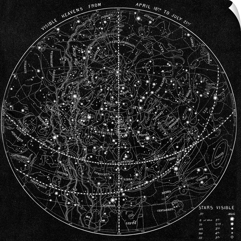 Illustration depicts the Visible Heavens From April 18th to July 21st. Stars and constellations are depicted. Undated.
