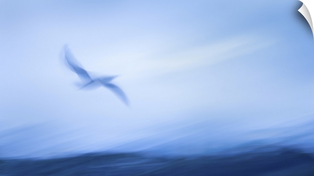 Impressionism image of seagull flying above the sea waves. Image captured using intentional camera movement technique for ...