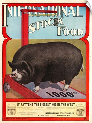 International Stock Food Advertising Poster