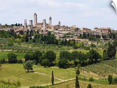 Italy, Vineyards surrounding old town