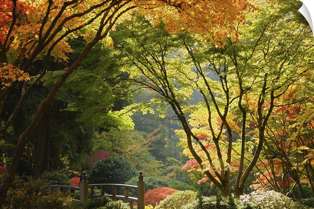 Autumn colors in Portland's Japanese Garden, perhaps one of the most authentic outside of Japan.