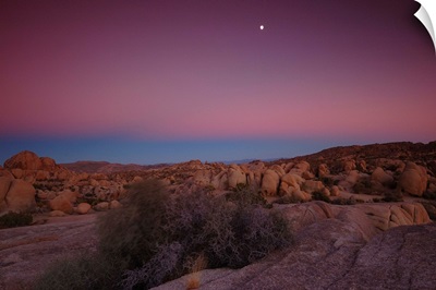 Jumbo Rocks at dusk