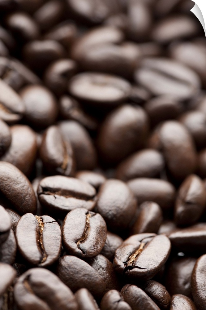 Kona Purple Mountain organic coffee beans with shallow focus