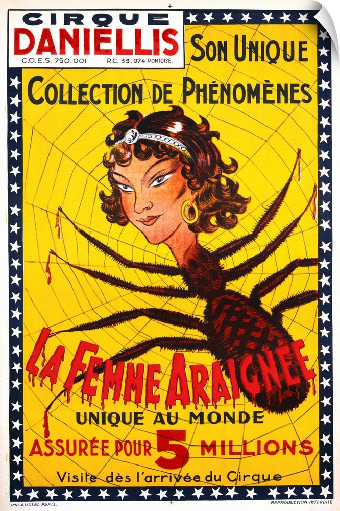 La Femme Araignee Poster