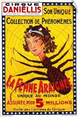 La Femme Araignee Poster