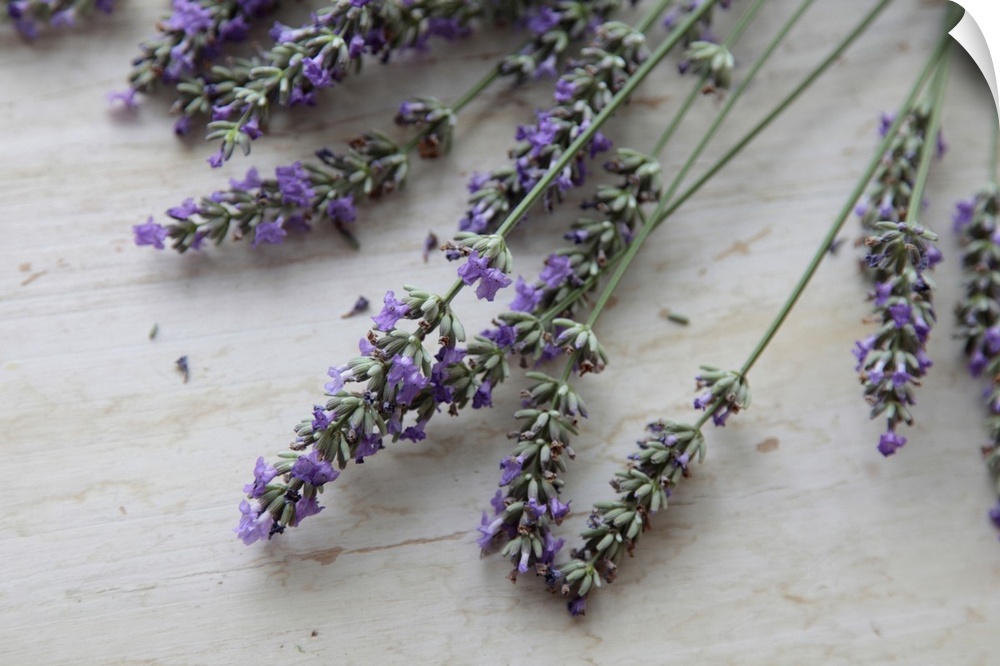 Big photo on canvas of lavender flowers laying on a wooden surface.