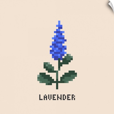 Lavender Pixel Art
