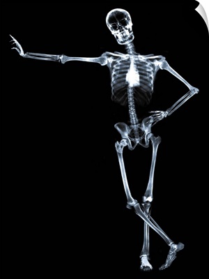 Leaning skeleton against black background