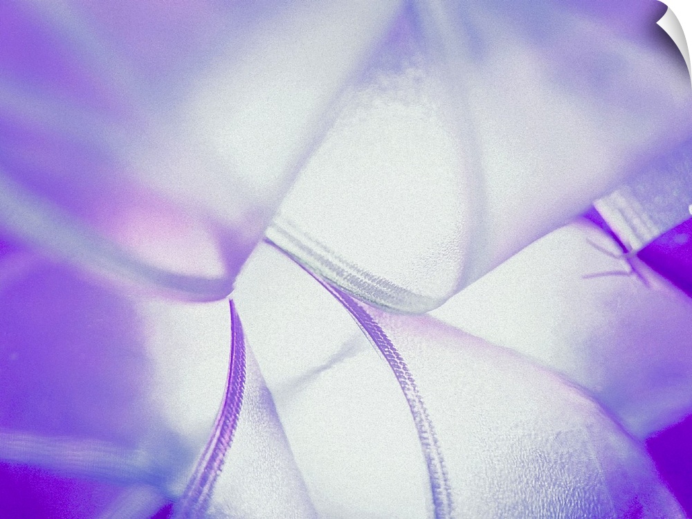 Up-close photograph of sheer ribbon spirals lit from behind.