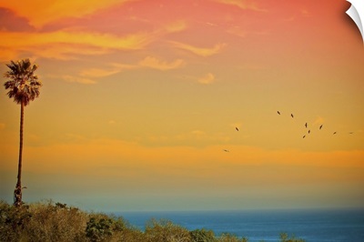 Light of sun setting on  Malibu beach and birds flying.