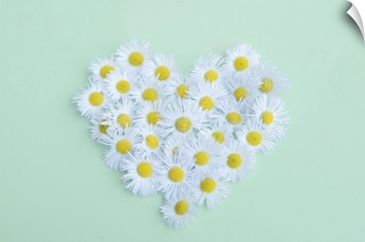 Little daisy in heart shape.