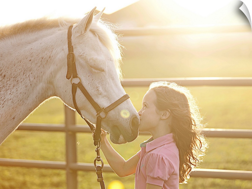 A little girl at sunset kissing her horse on the nose, while horse has its eyes closed