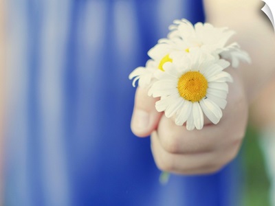 Little hand holding flowers.