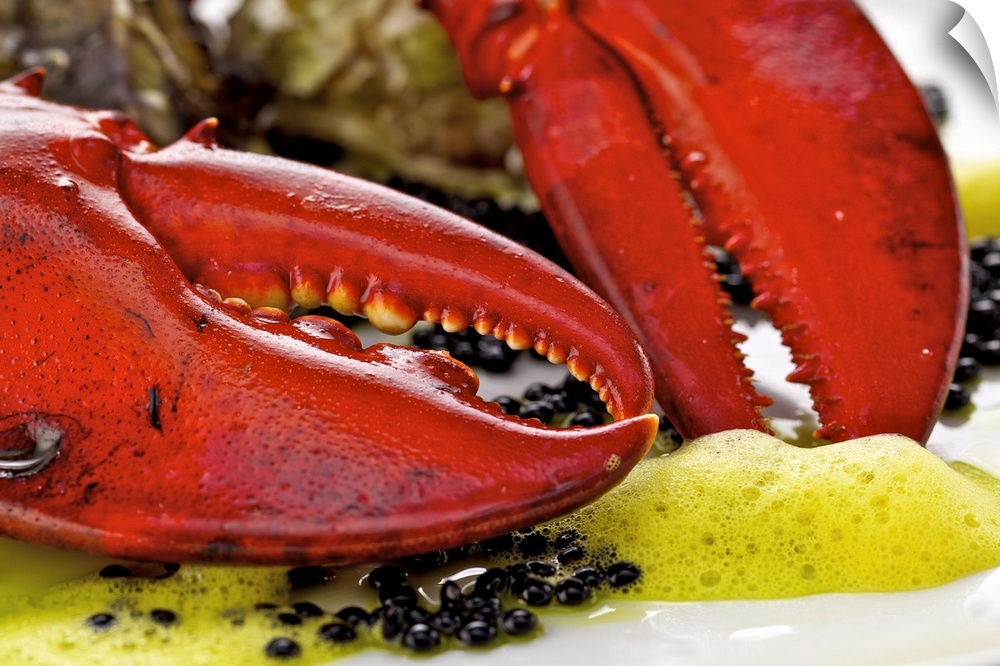 Lobster, caviar and oysters on plate, close-up
