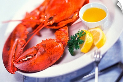 Lobster dinner plate