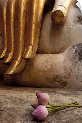 Long slender fingers of the Buddha with lily bud Sukhothai, Thailand.
