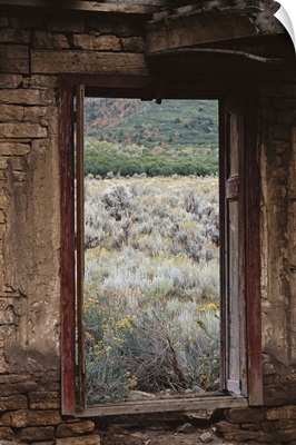 looking out of an abandoned adobe cabin to see sage brush and dead grass
