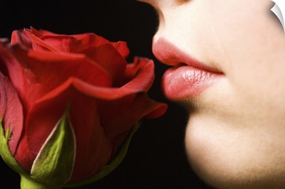 Luscious lips and soft rose