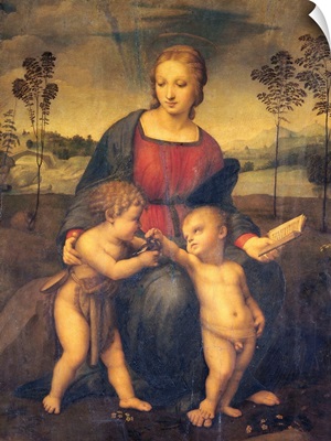 Madonna Of The Goldfinch By Raphael