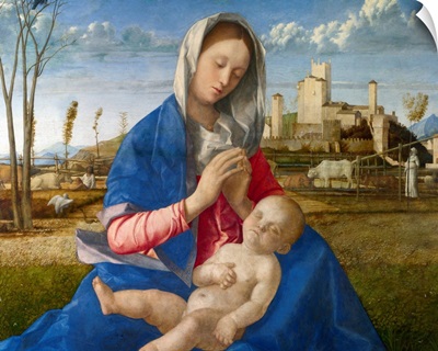 Madonna Of The Meadow By Giovanni Bellini
