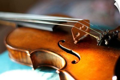 Maggini's violin with beautiful sound.