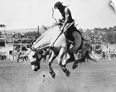 Man riding bucking horse in rodeo