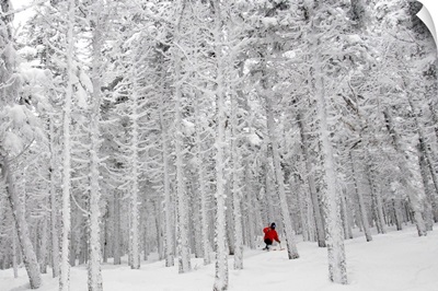 Man skiing through forest