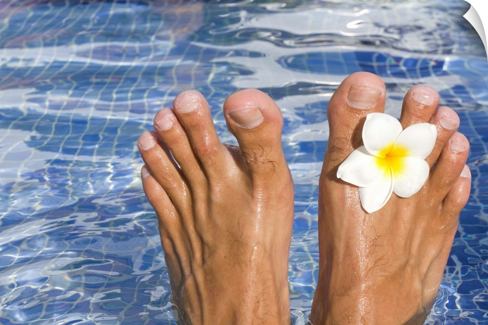 Mans feet in blue swimming pool with tropical frangipani flower.