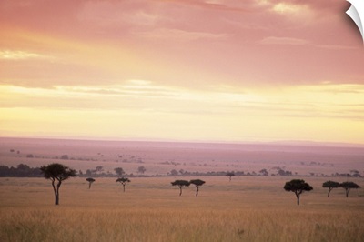 Masai Mara National Park in Kenya , Africa