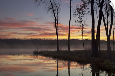 Misty sunrise, pond lake County Forest Preserve District, Illinois.