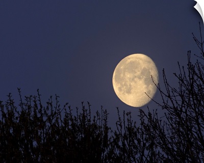 Moon setting in North Carolina