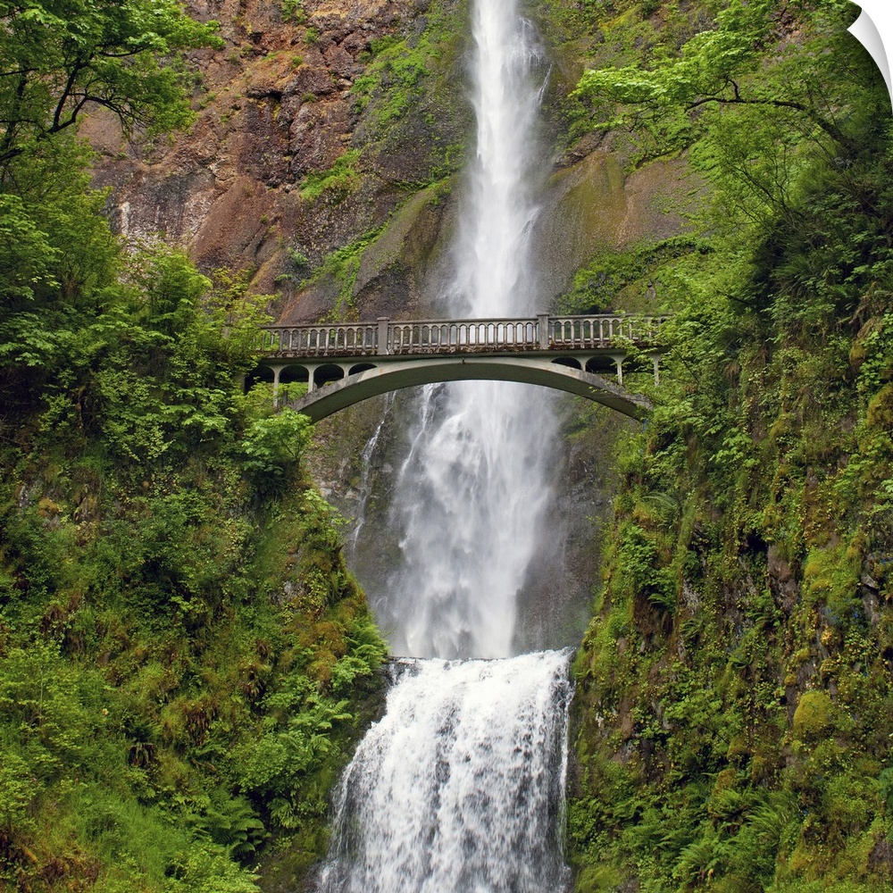 Oversized piece of an immense waterfall with foliage on either side and a small foot bridge just in front of it.