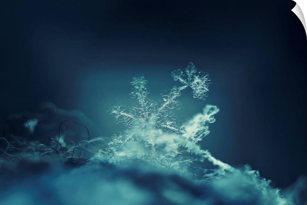 Snowflake glittering on dark textured background.