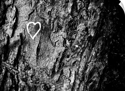 Nature loving graffiti on tree in Bath Green Park.