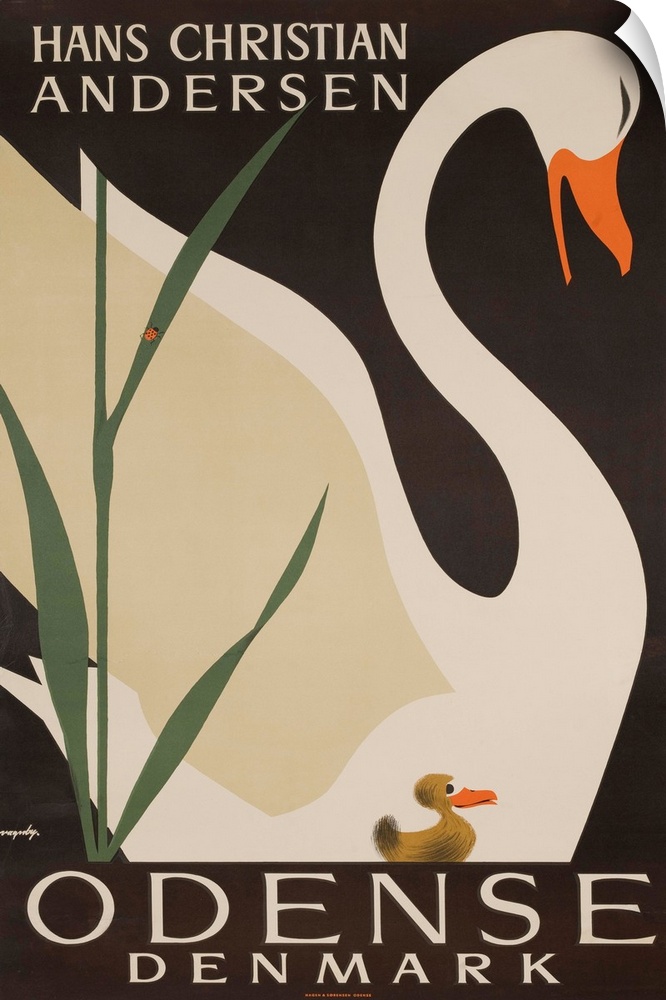 Illustrated by Vagnby, ca 1950s. An ugly duckling swims beside a beautiful swan.