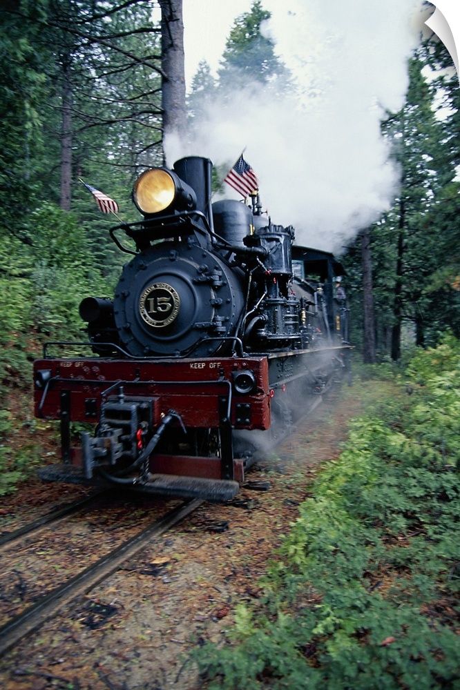 Vertical panoramic photograph of vintage train blowing smoke and moving through a forest.