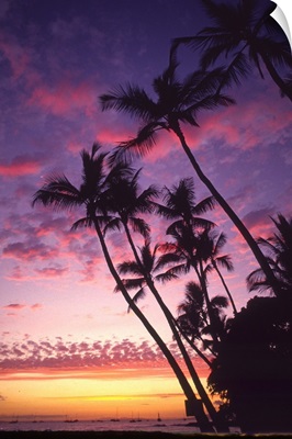 Palm trees along coastline silhouetted by a colorful sunset sky.