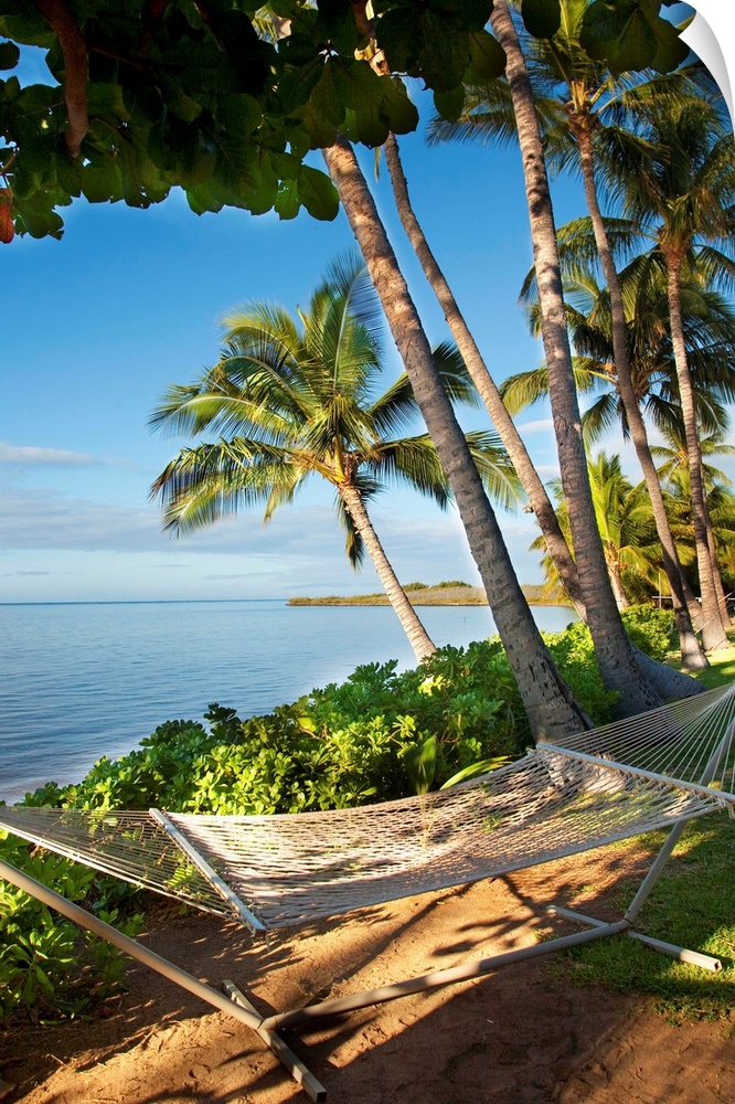 Palm trees near Kaunakakai, fronting Hotel Molokai with hammock in foreground, Molokai, Hawaii
