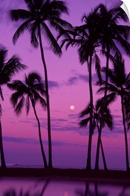 Palm trees with moon in a bright pink and purple sky, reflecting on still water.
