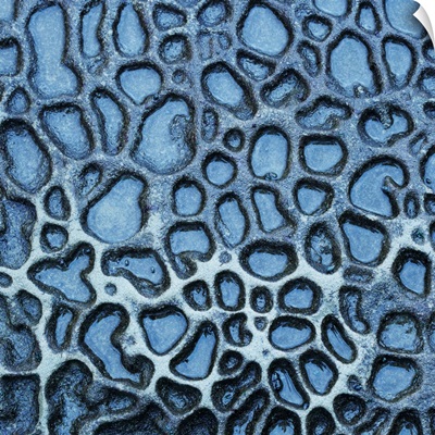 Pattern In Wet Stone